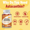 Liposomal Astaxanthin - Supports Eye, Cardiovascular, Joint and Skin Health As Well As Immunity and Accelerates Metabolism