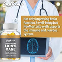 Lion's Mane Mushroom Capsules - Nootropic Brain Booster for Focus Immune & Stress Relief Improve Memory