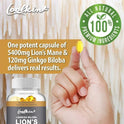 Lion's Mane Mushroom Capsules - Nootropic Brain Booster for Focus Immune & Stress Relief Improve Memory